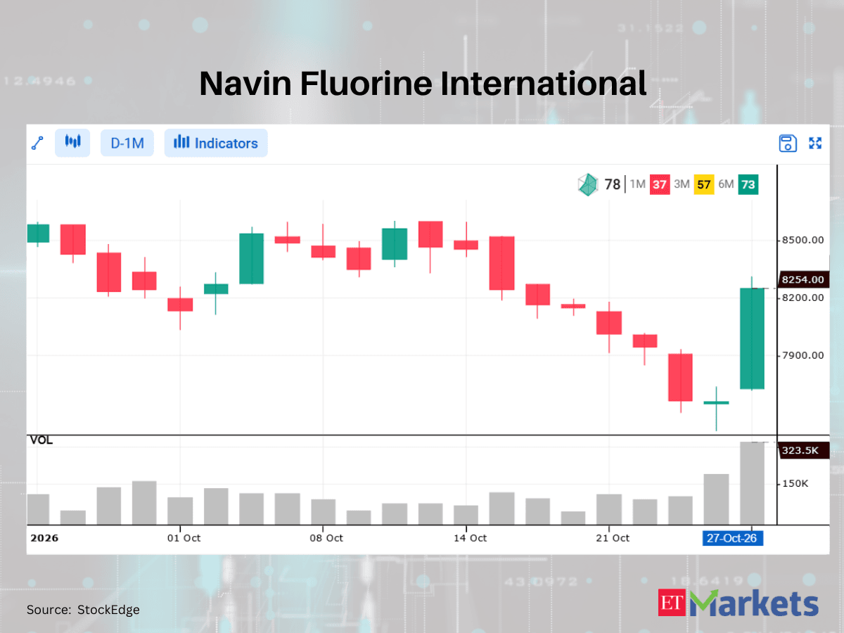 Data Patterns among 4 stocks showing the White Marubozu pattern